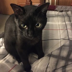 Meet your Posher, Christal